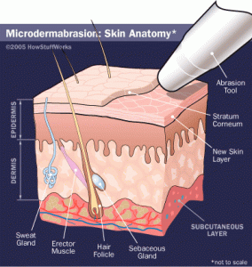 Skin layer